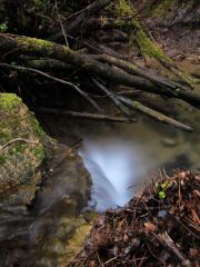 cascade-gourbachin-bagnols-en-foret-2016 - 5